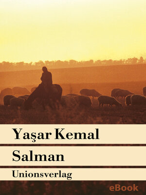 cover image of Salman